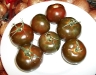 Bruno Rosso Tomatoes