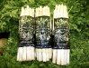 White Asparagus