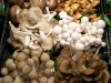 An Assortment of Mushrooms