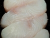 Fresh Alaskan Halibut