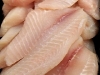 Farm Raised Talapia