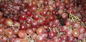 Sweet Red Grapes