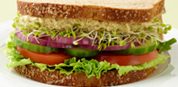Veggie Sandwich
